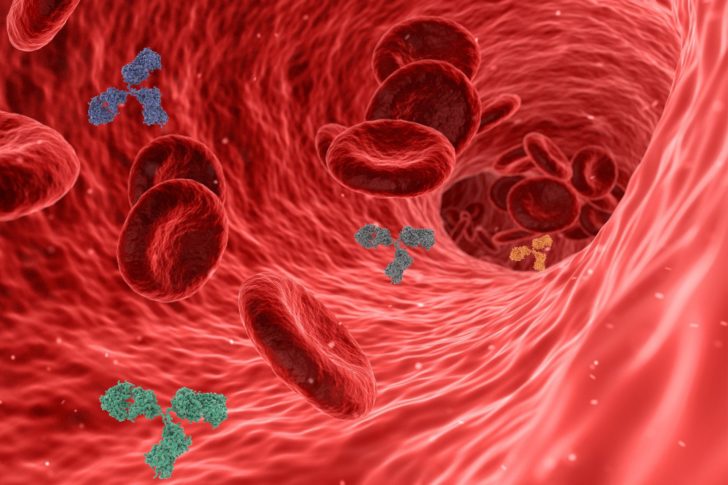Il ruolo del Farmacista nella gestione dell’anemia