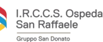 San_Raffaele_Logo_web